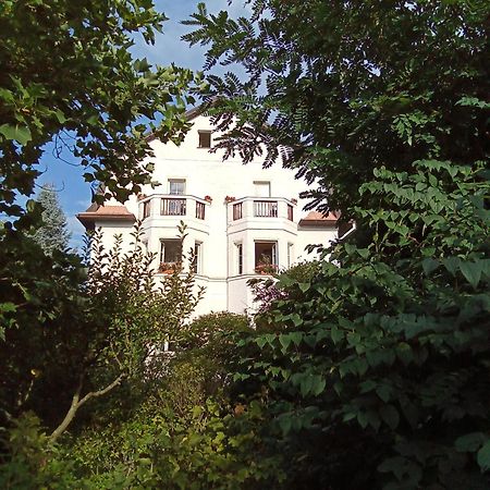 Pension Baron Schoeneck カルロヴィ・ヴァリ エクステリア 写真